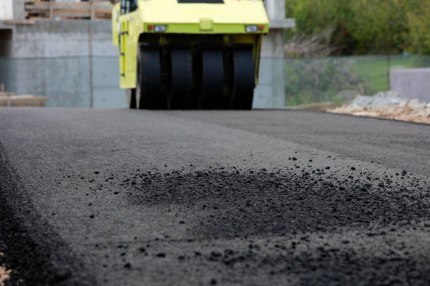 Best Decorative Driveway Pavers  in Cayuga, IN