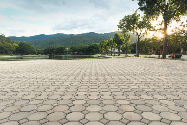 Best Local Driveway Pavers  in Cayuga, IN